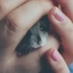 Kendimi Aptal Gibi Hissediyorum